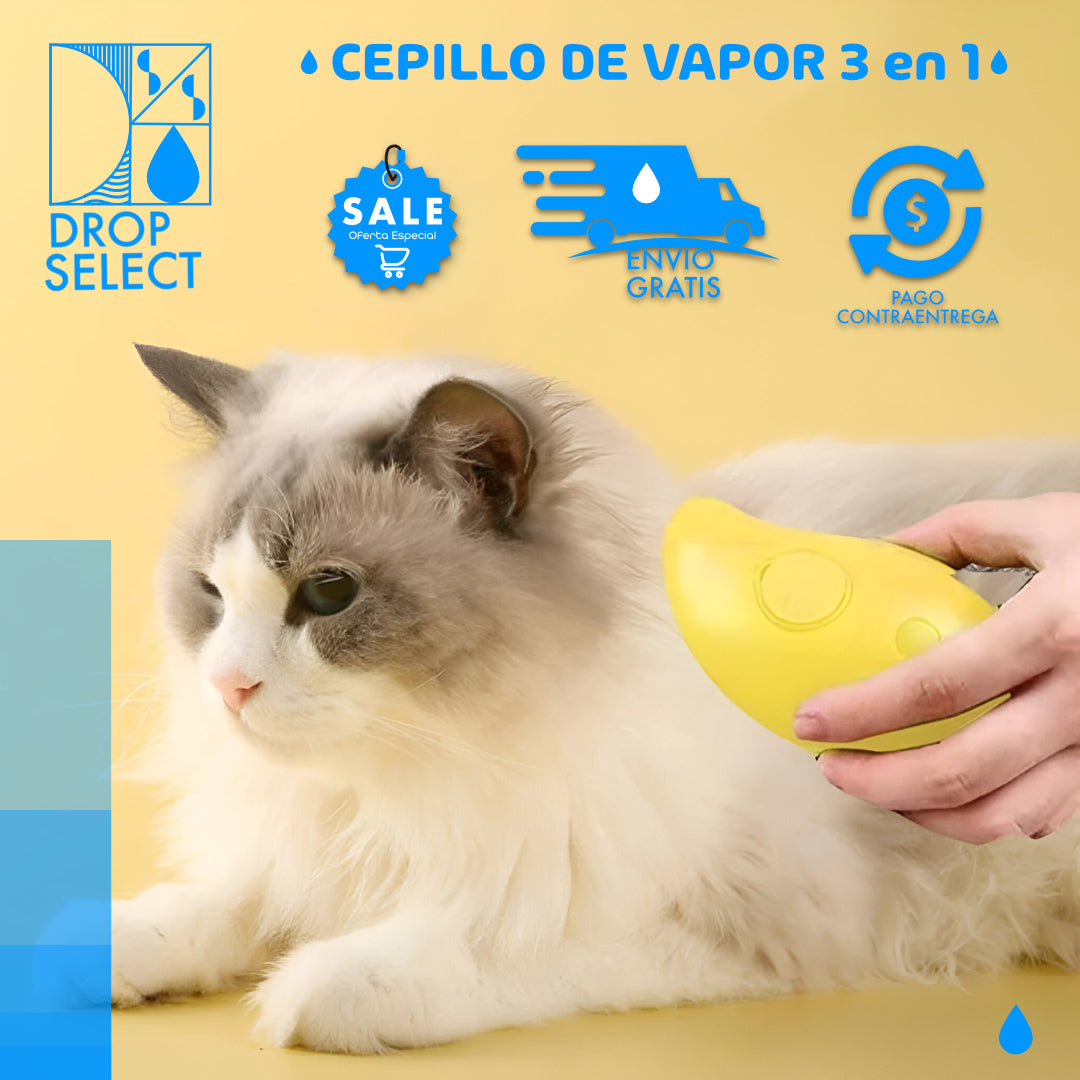 Cepillo de vapor 3 en 1