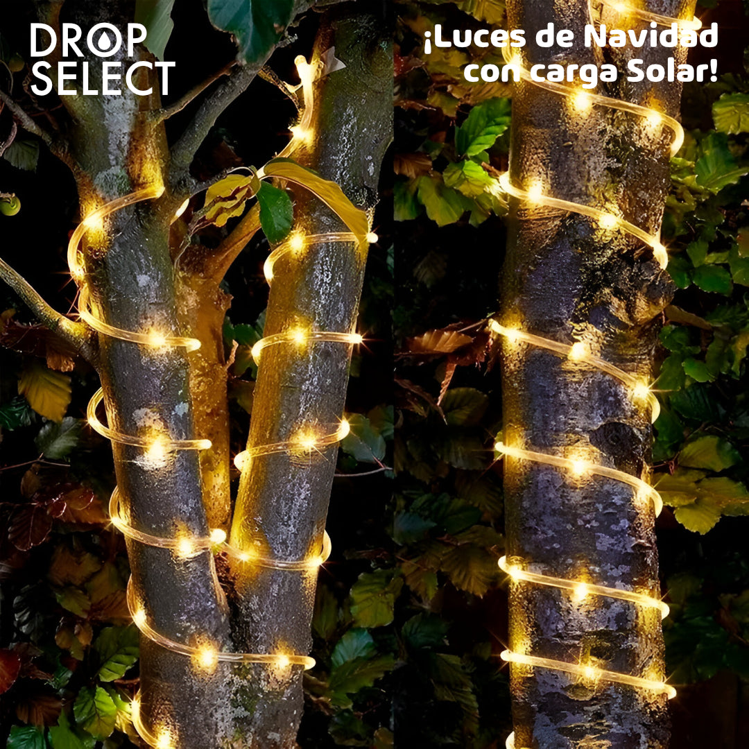 Luces de navidad con carga solar